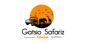 Gatsio Safariz