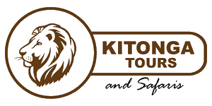 Kitonga Tours and Safaris Logo