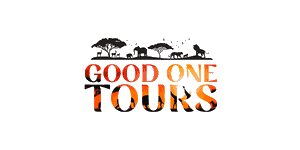 Good One Tours Logo
