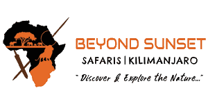 Beyond Sunset Tanzania  Logo