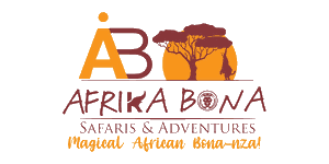 Afrika Bona Safaris and Adventures Logo