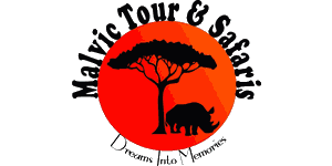 Malvic Tour and Safaris  Logo