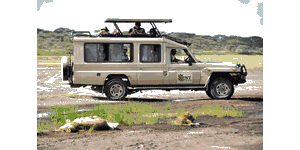 Kent Specialists Safaris Logo