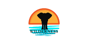Wilderness Pulse Safaris Logo