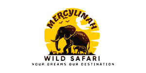 Mercylinah Wild Safaris Logo