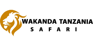 Wakanda Tanzania Safari Logo
