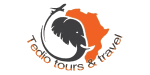 Tedio Tours and Travels Tedio Tours and Travels Logo