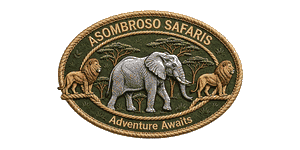 Asombroso Safaris Logo