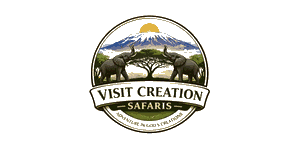 Visit Creation Safaris