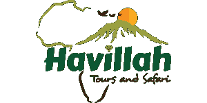 Havillah  Tours Logo