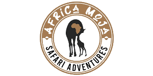 Africa Moja Safari Adventures