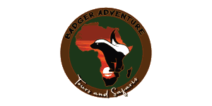 Badger Adventure Safari Logo