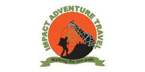 Impact Adventure Travel Logo