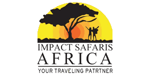 Impact Safaris Africa