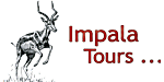 Impala Tours Logo