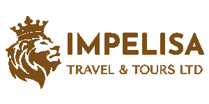 Impelisa Travel and Tours  logo