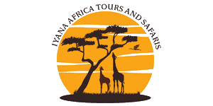 Iyana Africa Tours and Safaris Logo