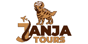 Janja Adventures  Logo