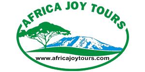 Africa Joy Tours