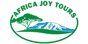 Africa Joy Tours