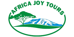 Africa Joy Tours Logo