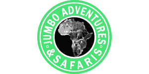 Jumbo Adventures Logo