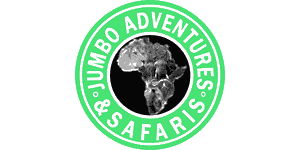 Jumbo Adventures logo