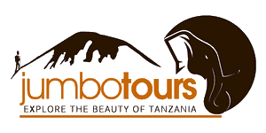 Jumbo Tours and Safaris