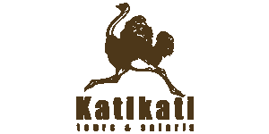 Katikati Tours and Safaris