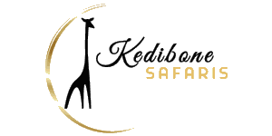 Kedibone Safaris Logo