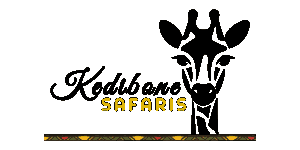 Kedibone Safaris Logo