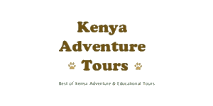 Kenya Adventure Tours Logo