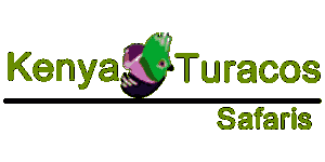 Kenya Turacos Safaris Logo