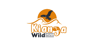 Kianga Wild Safaris Logo