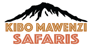 Kibo Mawenzi Safaris logo