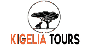 Kigelia Tours logo