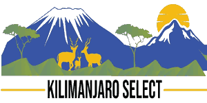 Kilimanjaro Select Logo