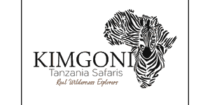 Kimgoni Tanzania Safaris  logo