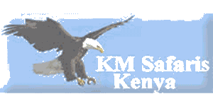 KM Safaris