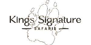 King's Signature Safaris Logo