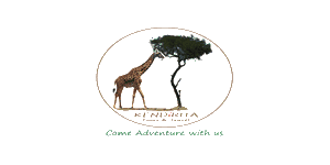 Kendirita Tours and Travel Logo