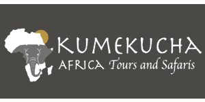 Kumekucha Africa Safari
