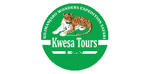 Kwesa Tours Logo