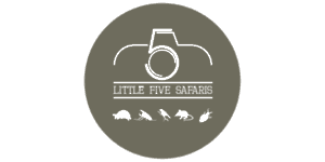 Little Five Safaris
