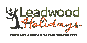 Leadwood Holidays Logo