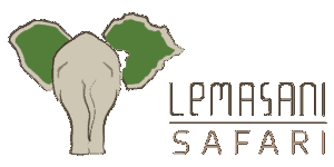 Lemasani Safari