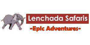 Lenchada Safaris