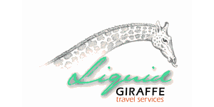 Liquid Giraffe Logo