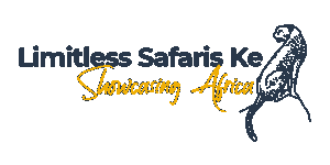 Limitless Safaris Ke Logo