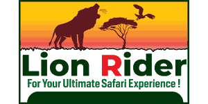 Lion Rider Tours and Safaris